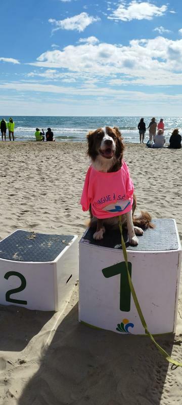 Des médailles à la Feria du Longe Côte de Carnon