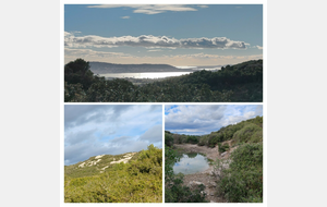 Randonnée 1/2 journée Massif de la Gardiole 
