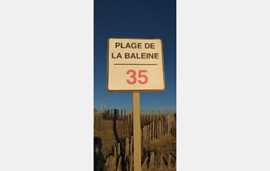 Séance de longe côte 