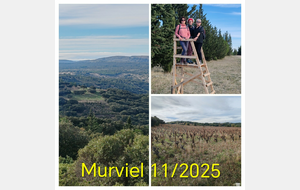 Oppidum de Murviel-lès-Montpellier 14km