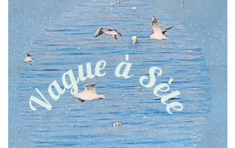 1er Rallye Surprise matinée du 23 Mai